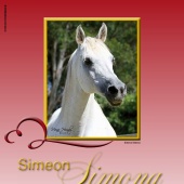 n.17 - Simeon Simona
